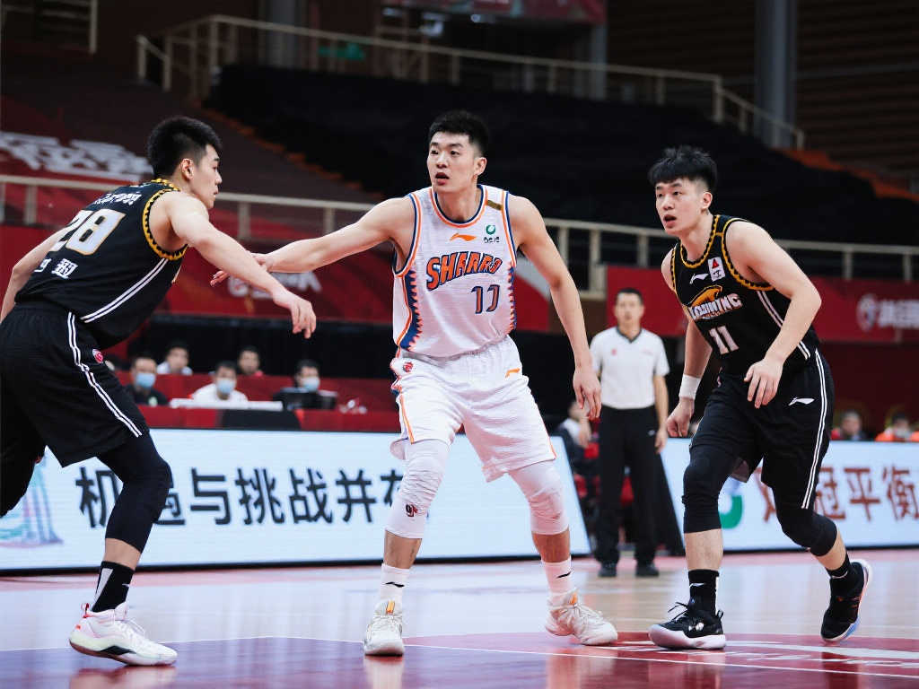 日耳曼和法 日耳曼和法